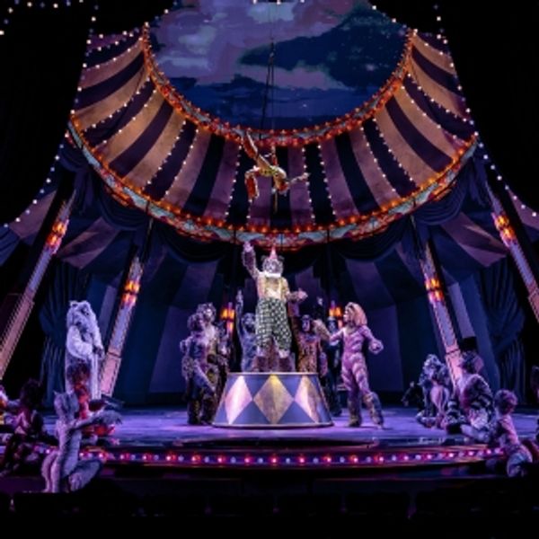 Exclusive: Inside Paramount’s Circus-Inspired Production of CATS - Chicago Theater Video