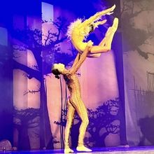 Review: THE GOLD RHINO OF MAPUNGUBWE at Baxter Theatre Is a Fresh, Vibrant, African-i