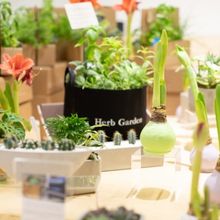 GARDENUITY for the Joy of Gardening Indoors and Outdoors