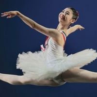 Incredible Shows at The Madison Center for the Arts