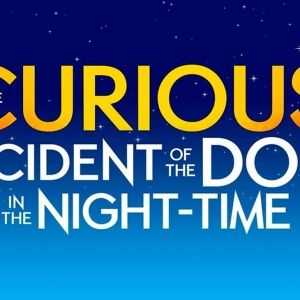 Video: Watch the Official Trailer for Bergen County Players' THE CURIOUS INCIDENT OF…