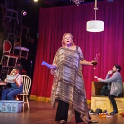 BWW Feature: ONLINE VIRTUAL OPERA TOUR No. 45 at Home Computer Screens