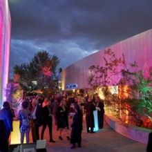Scottsdale Arts Takes Bold, New Direction With Glamorous Gala