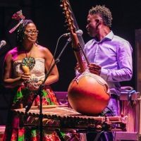 MusicaNova Announces Two Live Concerts in March