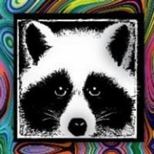 MerleFest Announces Trampled By Turtles, Colin Hay, The Steel Wheels, & Late Night Ja