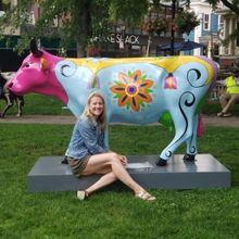CowParade New England Comes To Harvard Square