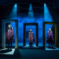 BWW Review: NORA: A DOLL'S HOUSE, Young Vic