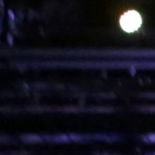 BWW Review: NEWSIES Is a Triumph at Candlelight Pavilion