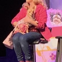 BWW Feature: DISNEY'S NEWSIES THE MUSICAL at Ignite Theater Company