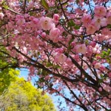 Student Blog: Tips for a Healthier, Happier You - Overcoming Burnout