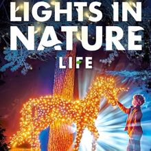 Feature: LIGHTS IN NATURE ai GIARDINI DI PALAZZO BRANCACCIO