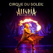 Black Friday Deals: Save Up to 25% on Cirque du Soleil's ALEGRIA
