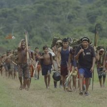 North American Theatrical Run Of THE FALLING SKY to Open in March