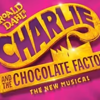 Brisbane CHARLIE AND THE CHOCOLATE FACTORY Finds Its Charlie Buckets!