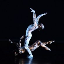 BWW Review: The Luminous and Exhilarating Luminario Ballet  Presents HARD AS A ROCK a