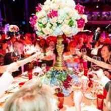 San Francisco Opera Guild Presents AN EVENING ON THE STAGE Honoring Carol And Dixon D