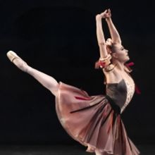 UofSC Dance to Host Top Talents of the NYC Ballet for 15th Annual Ballet Stars of New