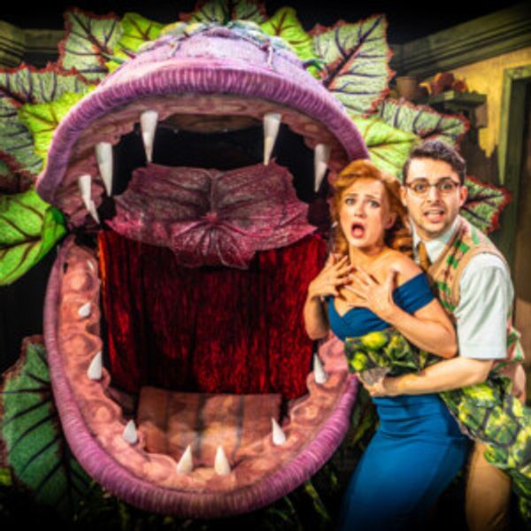 Review: LITTLE SHOP OF HORRORS, Hope Mill Theatre Photo