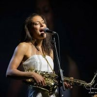 BWW Interview: Vanessa Collier Shines with Self-Released CD, HONEY UP!