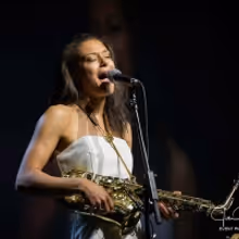 BWW Interview: Vanessa Collier Shines with Self-Released CD, HONEY UP!