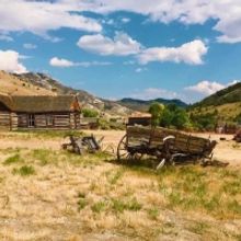 Review: COWBOY CAT: THE MUSICAL! at Mixed Blood Theatre