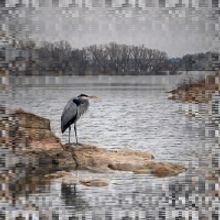 Plano Art Association Announces 125 Show On Exhibit At the Eisemann Center