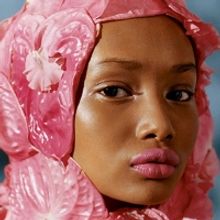 BAM and Aperture Present Moderated Discussion The New Black Vanguard