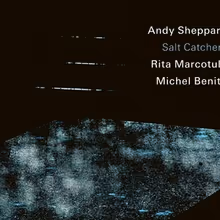 SALT CATCHERS Album From Andy Sheppard, Rita Marcotulli, Michel Benita Set for ECM