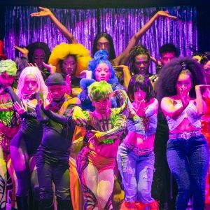 Everything You Need to Know About CATS: THE JELLICLE BALL