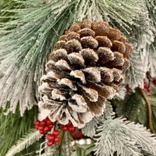 Feeling GIFTY? Selections for Food and Drink Lovers!