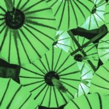 Museum Of The Home Marks Green Lunar New Year, January 2023