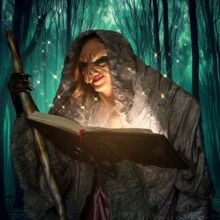 INTO THE WOODS Begins At The Phoenix Theatre Company In May