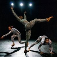 Arts On Site Announces September Performance Schedule