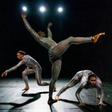 Arts On Site Announces September Performance Schedule