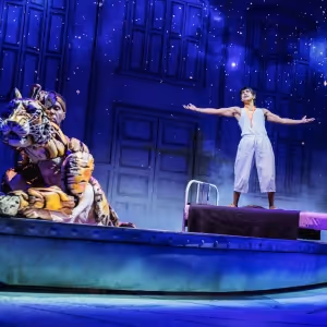 Review: LIFE OF PI at Orpheum Theatre Minneapolis