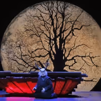 San Francisco Opera Announces January/February Schedule of Free Streams