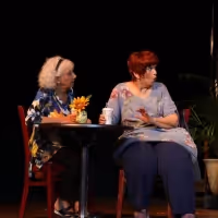 FUNNY SHORTS LIVE! to Return Featuring Florida Playwrights At Center For Performing…
