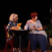 FUNNY SHORTS LIVE! to Return Featuring Florida Playwrights At Center For Performing A