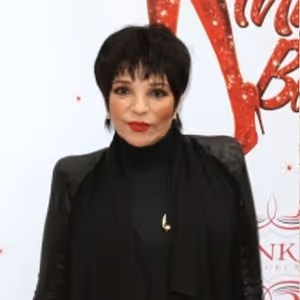 Why Liza Minnelli Hired (and Fired) Martin Scorsese for Broadway's THE ACT