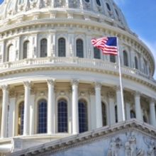 BWW Blog: How to Rehearse Monologues When the Country is on Fire