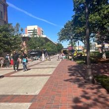 Student Blog: Academics, Let's Be Honest