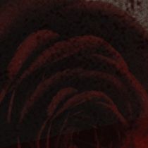 Arden Theatre to Stage Modern ROMEO AND JULIET Adaptation