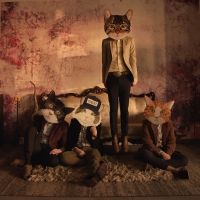Fantastic Cat Signs to Blue Rose Music & Announces Debut Album 'The Very Best Of Fant