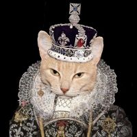 BWW Feature: AUDITIONS FOR KING OF CATS SEASON SHOWS at MNM Theatre Company/King Of…