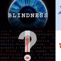 BLINDNESS, THE LIFESPAN OF A FACT & More - Check Out This Week's Top Stage Mags