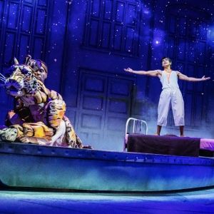 Broadway Beyond Louisville Review: Broadway in Cincinnati presents LIFE OF PI at The…