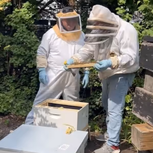 The Latest Buzz in Atlantic Highlands