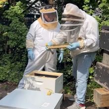 The Latest Buzz in Atlantic Highlands