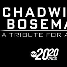 CHADWICK BOSEMAN: A TRIBUTE FOR A KING Now Streaming on Disney Plus