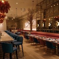 Review: REYNA NYC-The Distinctive, Stylish Retreat for Drinks and Tapas in the Union Square Neighborhood